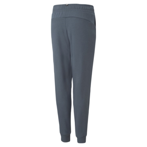 Puma ESS Logo Pants FL cl