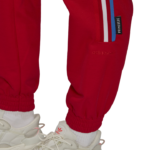 adidas originals Adicolor Tricolor Primeblue Track Pants