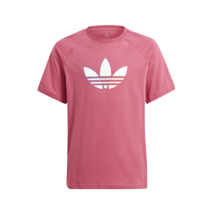 adidas originals Adicolor Graphic Tee