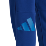 adidas Future Icons Pants