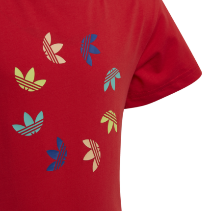 adidas Originals Adicolor Tee