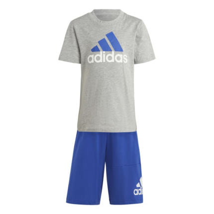 adidas Essentials Logo Tee and Short Set