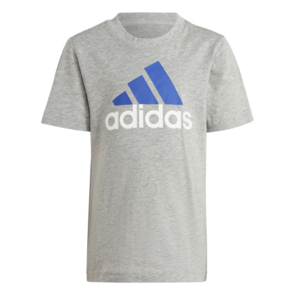 adidas Essentials Logo Tee and Short Set