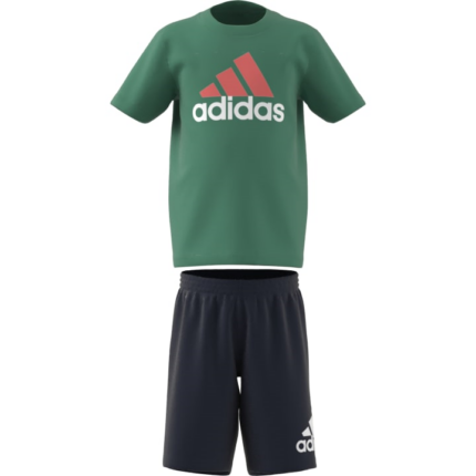 adidas Essentials Logo Tee and Short Set
