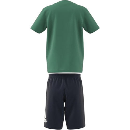 adidas Essentials Logo Tee and Short Set