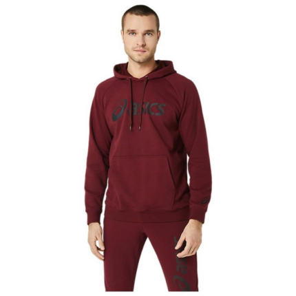 Asics Logo Oth Hoodie