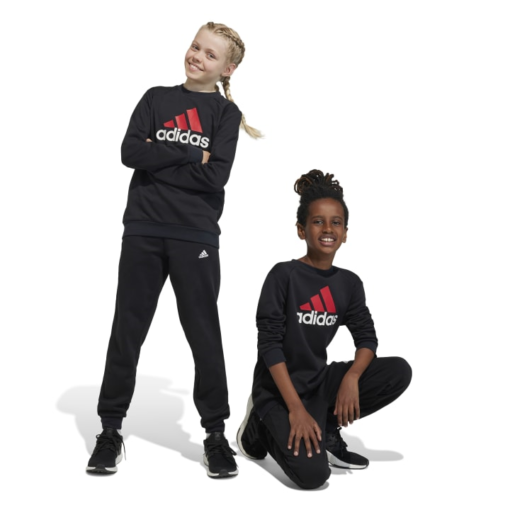adidas Essentials Big Logo Fleece Jogger Set Kids