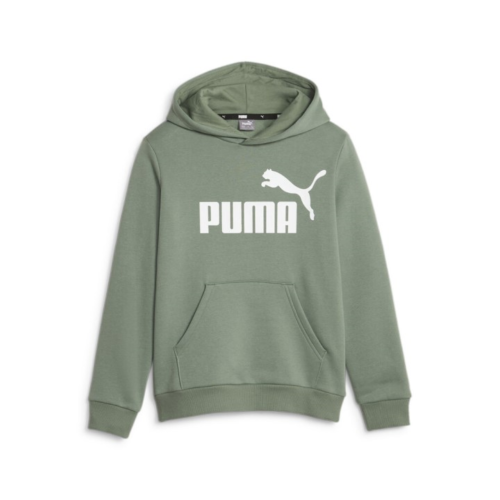 Puma ESS Big Logo Hoodie FL B