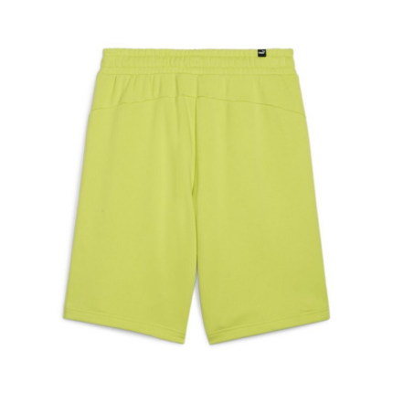 Puma Ess+ 2 Col Shorts 10"