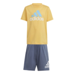 adidas Essentials Logo Tee and Short Set