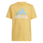 adidas Essentials Logo Tee and Short Set