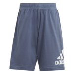 adidas Essentials Logo Tee and Short Set