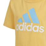 adidas Essentials Logo Tee and Short Set