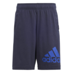 adidas Essentials Big Logo Cotton Shorts