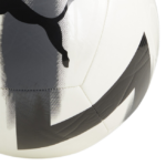 Puma Cage Ball