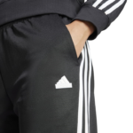 adidas Iconic Wrapping 3-Stripes Snap Trackpant