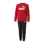 Puma Sweat Suit FL