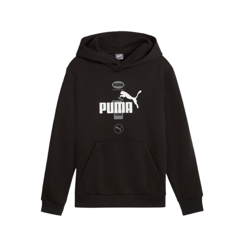 Puma Power Graphic Hoodie FL