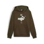 Puma Power Graphic Hoodie FL