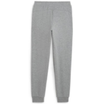 Puma Power Graphic Sweatpants Fl cl