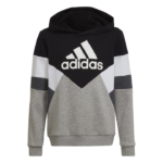 adidas Colorblock Fleece Hoodie