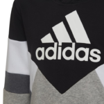 adidas Colorblock Fleece Hoodie