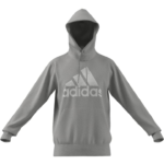 adidas Essentials French Terry Big Logo Hoodie