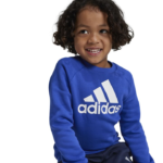 adidas Essentials Logo Fleece Jogger Set