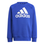 adidas Essentials Logo Fleece Jogger Set