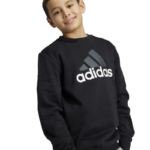 adidas Essentials Big Logo Fleece Joggers Set Kids