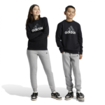 adidas Essentials Big Logo Fleece Joggers Set Kids