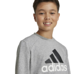 adidas Essentials Big Logo French Terry Joggers Set Kids