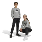 adidas Essentials Big Logo French Terry Joggers Set Kids