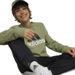 adidas Essentials Big Logo French Terry Joggers Set Kids