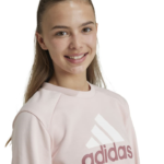 adidas Essentials Big Logo French Terry Joggers Set Kids