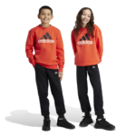 adidas Essentials Big Logo Fleece Jogger Set Kids