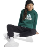 adidas Essentials Big Logo Fleece Jogger Set Kids