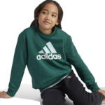 adidas Essentials Big Logo Fleece Jogger Set Kids