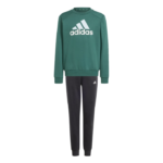 adidas Essentials Big Logo Fleece Jogger Set Kids