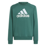 adidas Essentials Big Logo Fleece Jogger Set Kids