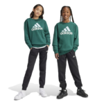 adidas Essentials Big Logo Fleece Jogger Set Kids