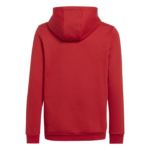 adidas Entrada 22 Sweat Hoodie