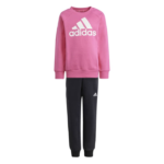 adidas Essentials Logo Fleece Jogger Set