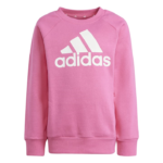 adidas Essentials Logo Fleece Jogger Set