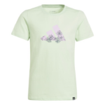 adidas Training Graphic Tee Kids