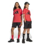 adidas Essentials Tee Set Kids Παιδικό Σετ Κόκκινο / Μαύρο