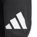 adidas Essentials Big Logo Single Jersey Pants Ανδρικό Παντελόνι Μαύρο