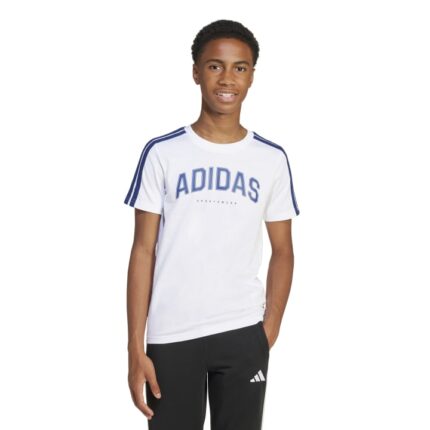 adidas Codes Collegiate Graphic T-Shirt Kids Παιδικό Kοντομάνικο Λευκό / Μπλε