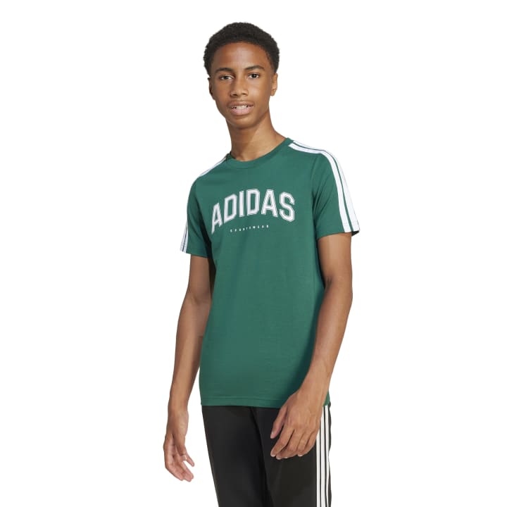 adidas Codes Collegiate Graphic T-Shirt Kids Παιδικό Kοντομάνικο Πράσινο