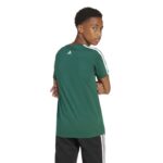 adidas Codes Collegiate Graphic T-Shirt Kids Παιδικό Kοντομάνικο Πράσινο